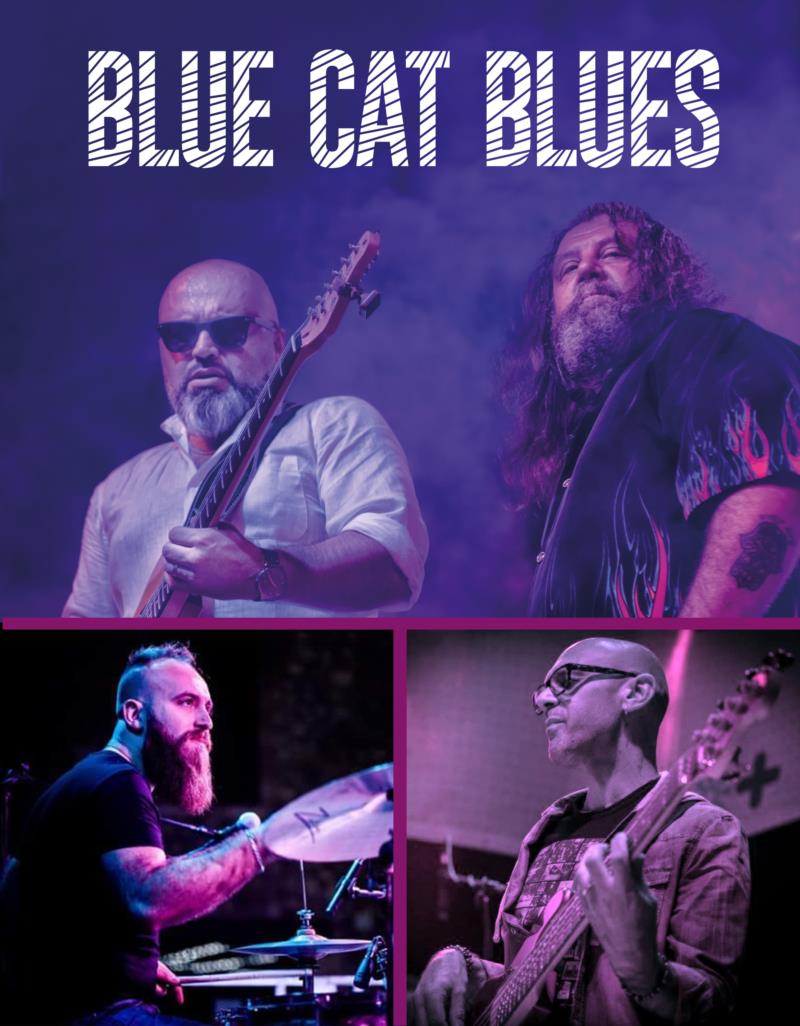 BLUE CAT BLUES